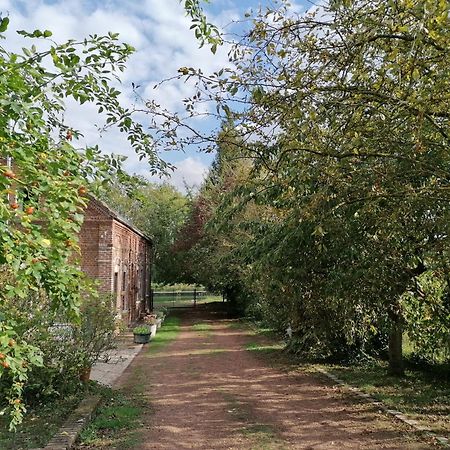 Bed and Breakfast La Chaumiere Du Tordoir Les Rues-des-Vignes Exterior foto